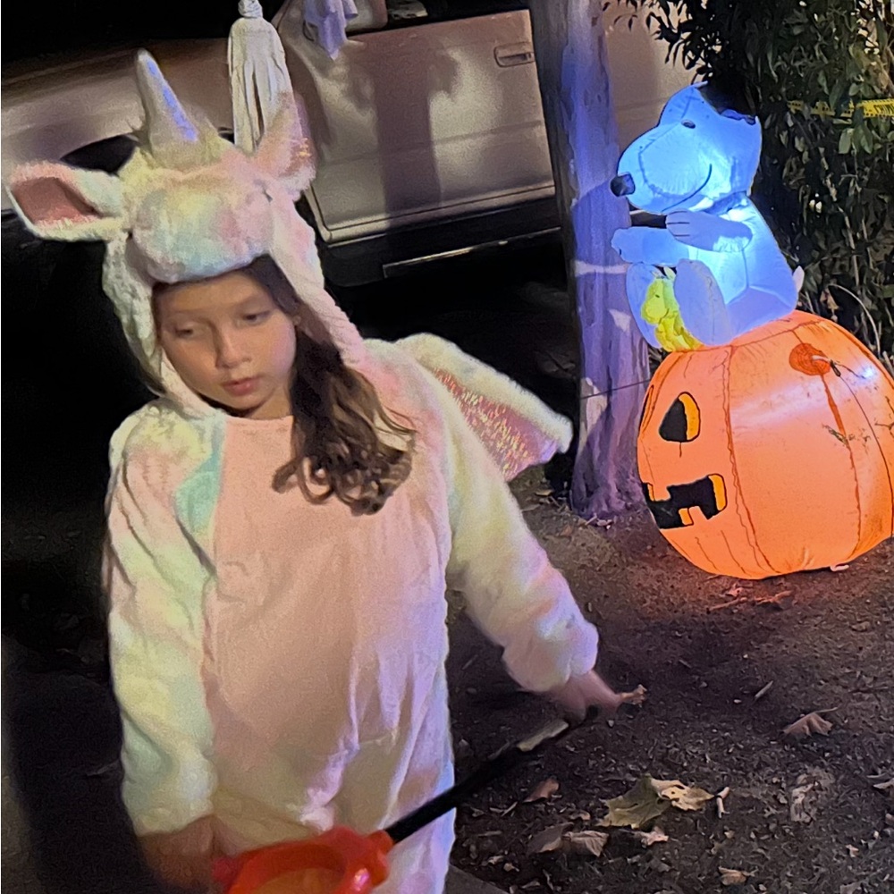 Pegasus Costume With Pastel Fleece for Kids Size 4/5 - Picture 9 of 10